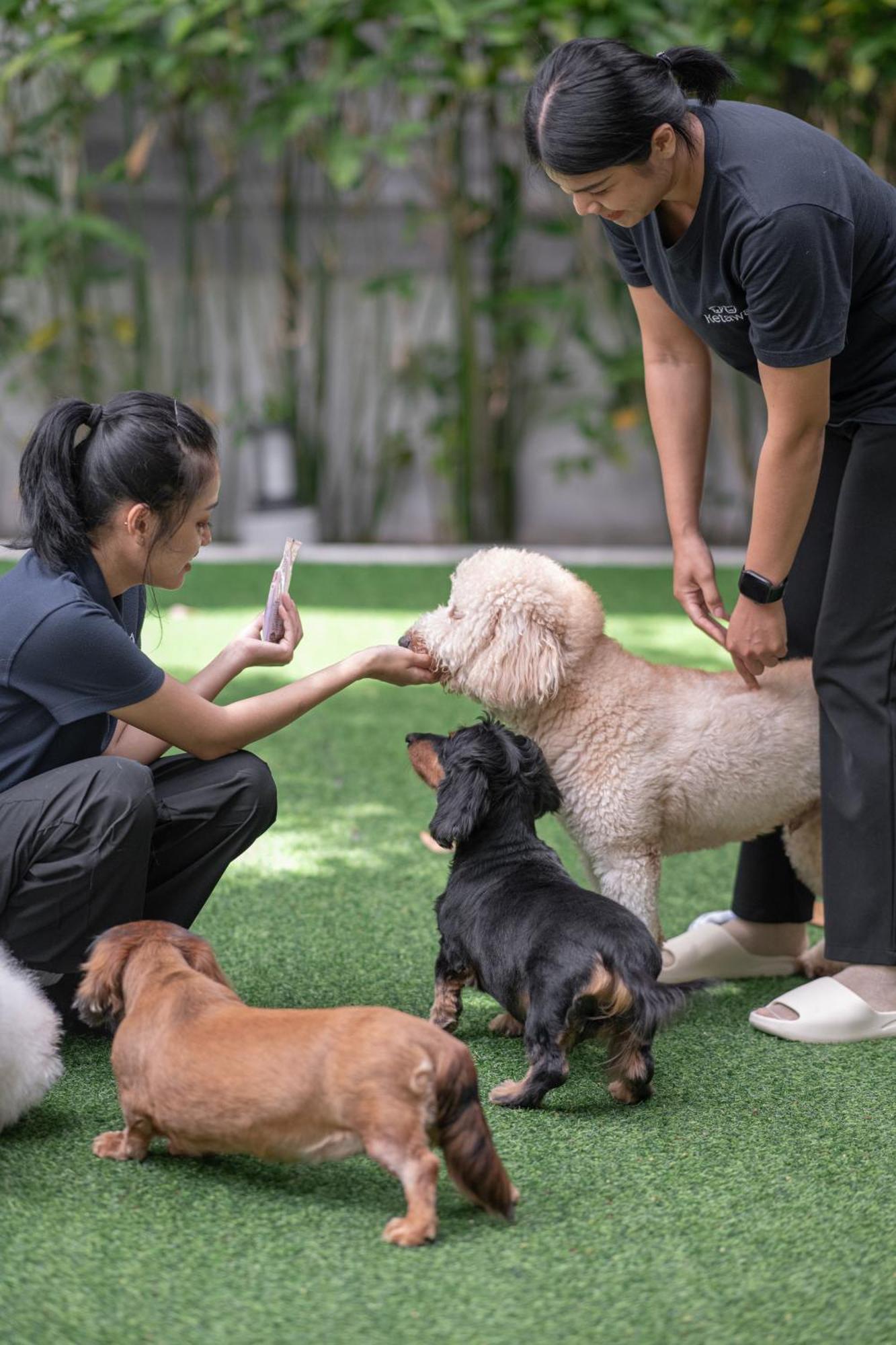 Ketawa Pet Friendly Hotel Chiang Mai Exterior photo