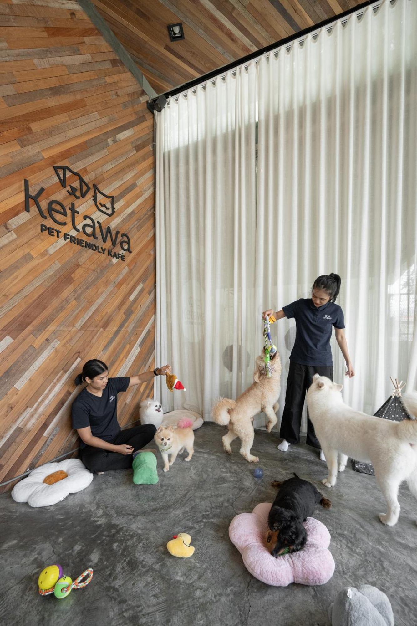 Ketawa Pet Friendly Hotel Chiang Mai Exterior photo