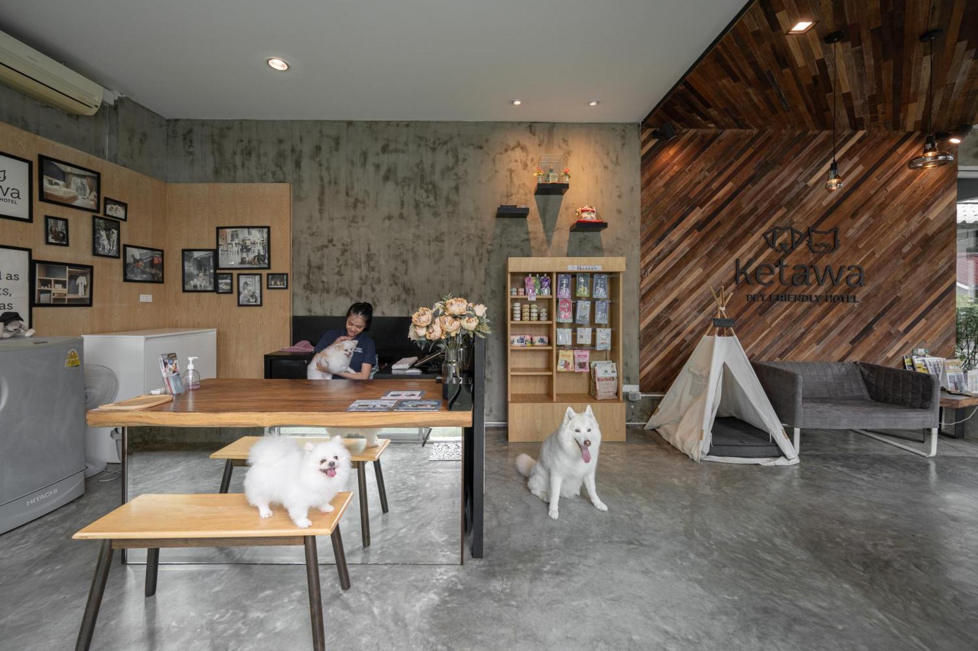 Ketawa Pet Friendly Hotel Chiang Mai Exterior photo