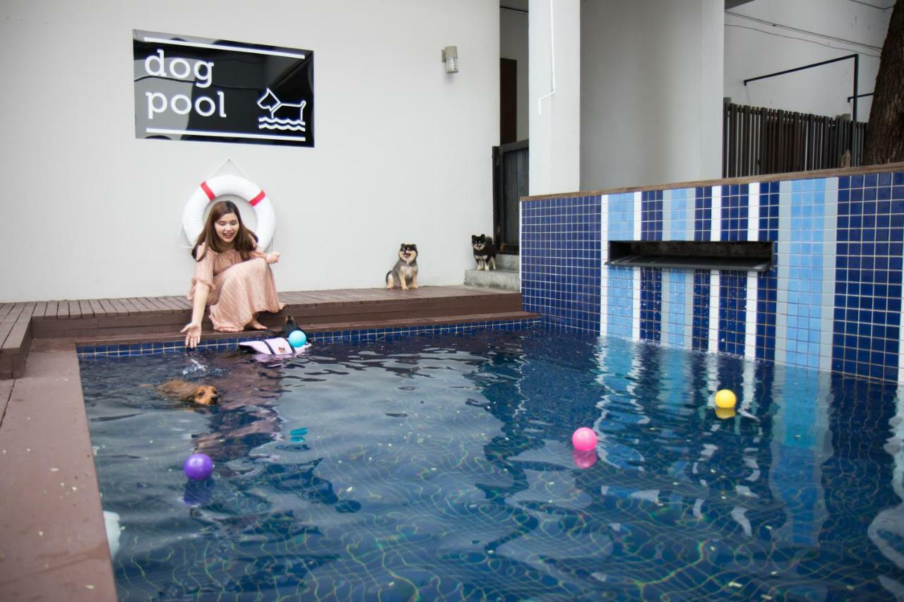 Ketawa Pet Friendly Hotel Chiang Mai Exterior photo